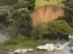 Dois mortos e crianças desaparecidas após deslizamento de terra atingir local de férias Nesta imagem de um vídeo, um policial com um cachorro revista pessoas perto do local de um deslizamento de terra na base do Monte Maunganui, na Ilha Norte da Nova Zelândia, quinta-feira, 22 de janeiro de 2026.