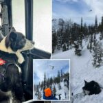 Dois snowmobilers mortos, dois resgatados após avalanche no remoto Washington