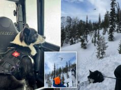 Dois snowmobilers mortos, dois resgatados após avalanche no remoto Washington Dois snowmobilers mortos, dois resgatados após avalanche no remoto Washington