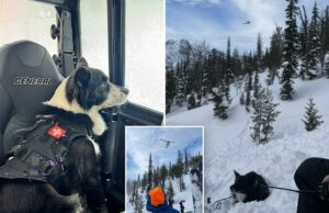 Dois snowmobilers mortos, dois resgatados após avalanche no remoto Washington Dois snowmobilers mortos, dois resgatados após avalanche no remoto Washington