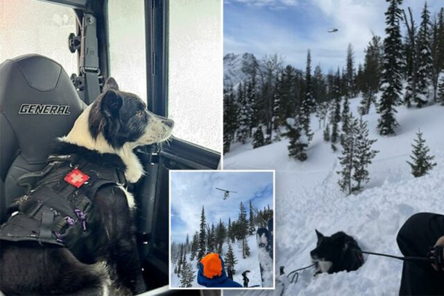 Dois snowmobilers mortos, dois resgatados após avalanche no remoto Washington Dois snowmobilers mortos, dois resgatados após avalanche no remoto Washington