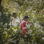 Drama de impacto de IA 'Humans in the Loop' adiciona Shabana Azmi, Ritesh Batra e Shaunak Sen como produtores executivos em Oscar Push (EXCLUSIVO)