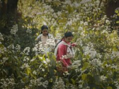 Drama de impacto de IA ‘Humans in the Loop’ adiciona Shabana Azmi, Ritesh Batra e Shaunak Sen como produtores executivos em Oscar Push (EXCLUSIVO) Drama de impacto de IA 'Humans in the Loop' adiciona Shabana Azmi, Ritesh Batra e Shaunak Sen como produtores executivos em Oscar Push (EXCLUSIVO)