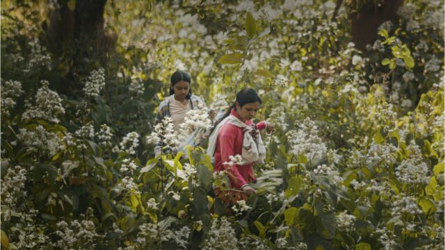 Drama de impacto de IA 'Humans in the Loop' adiciona Shabana Azmi, Ritesh Batra e Shaunak Sen como produtores executivos em Oscar Push (EXCLUSIVO)
