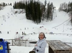 Ela se mudou da Califórnia para a Suécia em busca de uma nova aventura. Ela não estava preparada para o silêncio. Ela se mudou da Califórnia para a Suécia em busca de uma nova aventura. Ela não estava preparada para o silêncio.