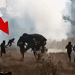 011926_killer_elephant_kal