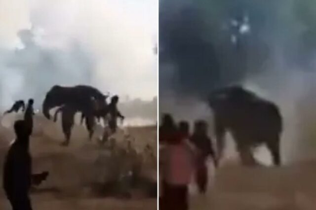 Elefante rebelde mata quase duas dúzias de pessoas em tumulto de 10 dias no leste da Índia
