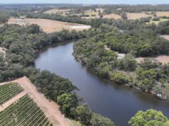 Enfrentar uma vinha sem experiência foi um passo na direção certa Enfrentar uma vinha sem experiência foi um passo na direção certa