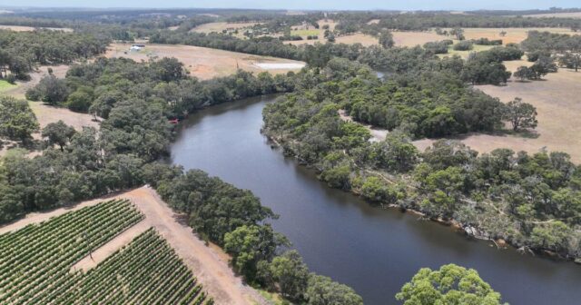 Enfrentar uma vinha sem experiência foi um passo na direção certa
