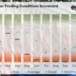 Episódio 3: por que a força das exportações é a chave para a lucratividade dos processadores de ovinos