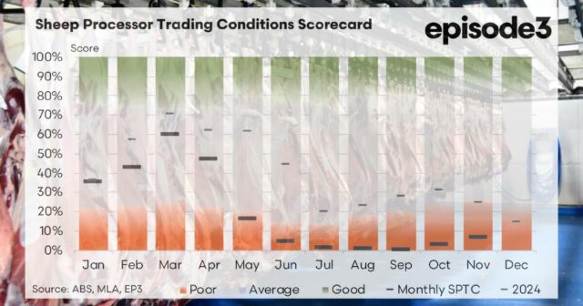 Episódio 3: por que a força das exportações é a chave para a lucratividade dos processadores de ovinos
