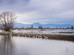 Especialistas ficam surpresos quando a Califórnia passa por condições inesperadas não vistas há mais de 25 anos: ‘Ainda pode haver alguns problemas persistentes’ Yahoo news home