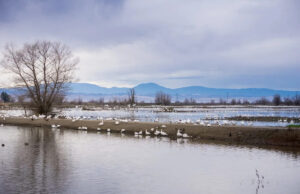 Especialistas ficam surpresos quando a Califórnia passa por condições inesperadas não vistas há mais de 25 anos: ‘Ainda pode haver alguns problemas persistentes’ Yahoo news home