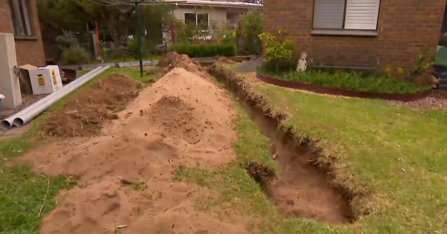 O crânio e os ossos foram encontrados ontem numa cova rasa no quintal do Greg.