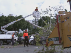 ‘Espere perder energia’: Queenslanders no caminho do provável ciclone são instados a se preparar 'Espere perder energia': Queenslanders no caminho do provável ciclone são instados a se preparar