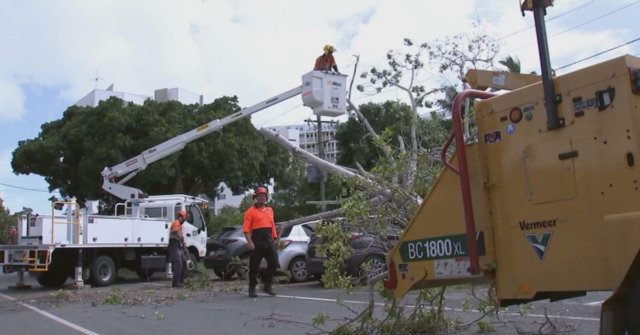 'Espere perder energia': Queenslanders no caminho do provável ciclone são instados a se preparar
