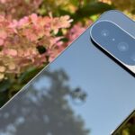Google Pixel 10 encostado em algumas flores cor de rosa