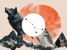 Estes 3 signos do zodíaco serão mais afetados pela Lua Cheia do Lobo em Câncer de janeiro de 2026 Estes 3 signos do zodíaco serão mais afetados pela Lua Cheia do Lobo em Câncer de janeiro de 2026