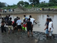 Estudante do ensino médio em Maluku morto por crocodilo no rio Estudante do ensino médio em Maluku morto por crocodilo no rio