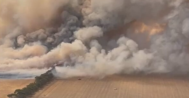 Evacuados disseram 'não vá para casa' quando os alertas de incêndio florestal foram rebaixados
