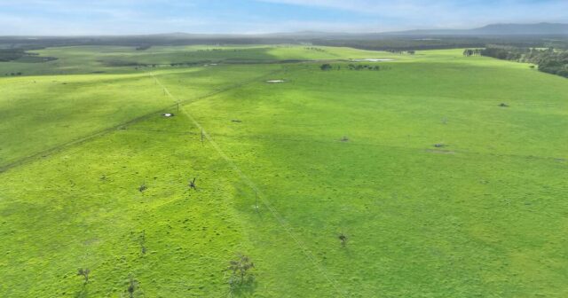 Excelente época agrícola sustenta a confiança em todo o sector imobiliário rural
