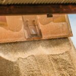 Excesso global de grãos: por que não podemos simplesmente superar os preços baixos