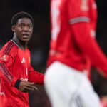 Gráfico de estatísticas