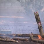 Um incêndio descontrolado em Longwood queimou mais de 48.000 hectares.