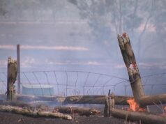 Família de três pessoas ainda desaparecida em incêndios florestais em Victoria Um incêndio descontrolado em Longwood queimou mais de 48.000 hectares.