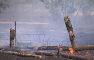 Família de três pessoas ainda desaparecida em incêndios florestais em Victoria Um incêndio descontrolado em Longwood queimou mais de 48.000 hectares.