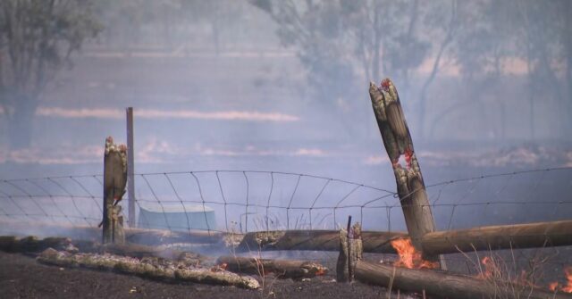 Um incêndio descontrolado em Longwood queimou mais de 48.000 hectares.