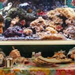 Festival de Cinema de Berlim será inaugurado com a comédia romântica 'No Good Men' do diretor afegão Shahrbanoo Sadat