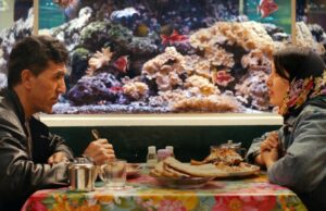 Festival de Cinema de Berlim será inaugurado com a comédia romântica ‘No Good Men’ do diretor afegão Shahrbanoo Sadat Festival de Cinema de Berlim será inaugurado com a comédia romântica 'No Good Men' do diretor afegão Shahrbanoo Sadat