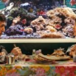 Filme de abertura da Berlinale 'No Good Men', de Shahrbanoo Sadat, abordado pelo banner de vendas Lucky Number (EXCLUSIVO)