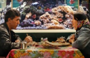 Filme de abertura da Berlinale ‘No Good Men’, de Shahrbanoo Sadat, abordado pelo banner de vendas Lucky Number (EXCLUSIVO) Filme de abertura da Berlinale 'No Good Men', de Shahrbanoo Sadat, abordado pelo banner de vendas Lucky Number (EXCLUSIVO)