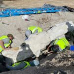 Fósseis de dinossauros descobertos durante a construção do estacionamento no parque nacional de Utah