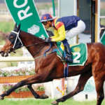 Fynbos busca redenção em Villoo C Poonawalla Indian Oaks (Gr 1)