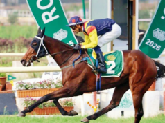 Fynbos busca redenção em Villoo C Poonawalla Indian Oaks (Gr 1) Fynbos busca redenção em Villoo C Poonawalla Indian Oaks (Gr 1)