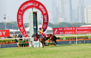 Fynbos vence Villoo C Poonawalla Indian Oaks (Gr 1) Fynbos vence Villoo C Poonawalla Indian Oaks (Gr 1)