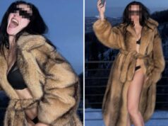 Gatas de pele sintética – Adivinhe a estrela da lingerie na neve! Estrelas de pele sintética - finja até conseguir!