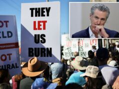 Gavin Newsom enfrenta desastre orçamentário de US$ 18 bilhões que ajudou a criar Gavin Newsom enfrenta desastre orçamentário de US$ 18 bilhões que ajudou a criar