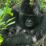 Ícone de conversão de texto em fala