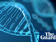 Google DeepMind lança ferramenta de IA para ajudar a identificar fatores genéticos de doenças Google DeepMind lança ferramenta de IA para ajudar a identificar fatores genéticos de doenças