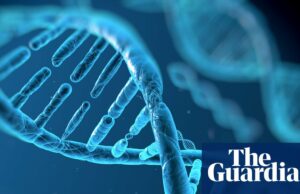 Google DeepMind lança ferramenta de IA para ajudar a identificar fatores genéticos de doenças Google DeepMind lança ferramenta de IA para ajudar a identificar fatores genéticos de doenças