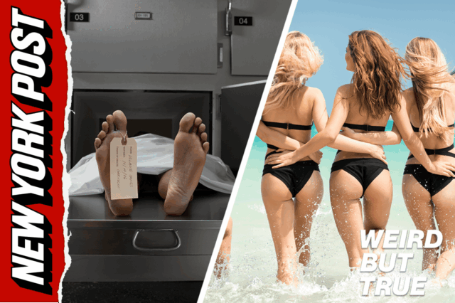 Gordura é um fato! Mulheres estão recebendo BBLs de cadáveres | Estranho, mas é verdade
