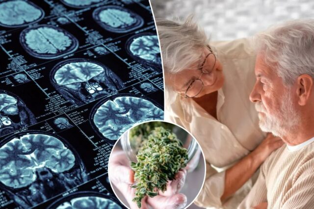 Grandes esperanças: o THC pode ajudar a proteger contra a doença de Alzheimer – se for combinado com este medicamento comum
