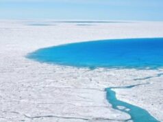 Groenlândia: não queremos ser americanos Groenlândia: não queremos ser americanos