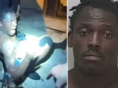 Homem sem camisa da Flórida condenado por mergulhar pela janela do Taco Bell, roubando lugar com ‘pedra grande’ Homem sem camisa da Flórida condenado por mergulhar pela janela do Taco Bell, roubando lugar com 'pedra grande'