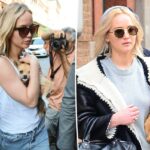 'Horrível' Jennifer Lawrence foi criticada por realojar o cachorro que mordeu seu filho: 'Isso é tão decepcionante'