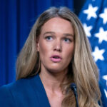 ICE deteve criança de 5 anos para mantê-lo aquecido, diz fantoche do DHS